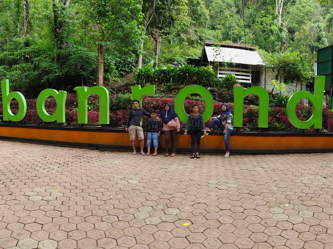 Coban Rondo Waterfall-巴图必去景点