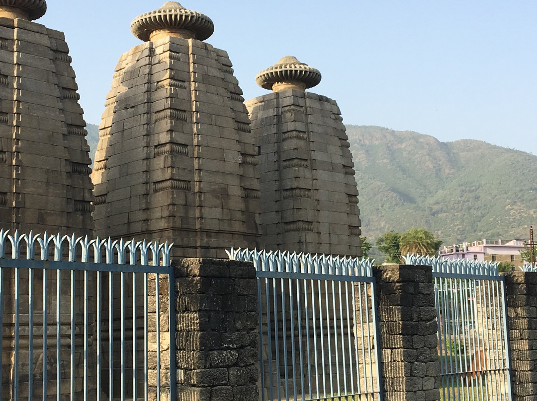 Dwarahat Village景点图片