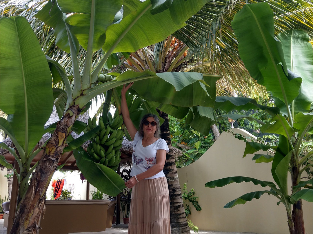 Relax Residence主图