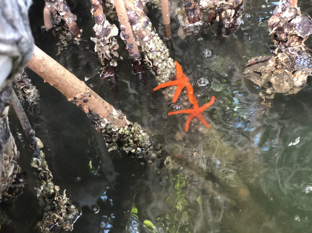 雷斯廷加国家公园-玛格丽塔岛必去景点