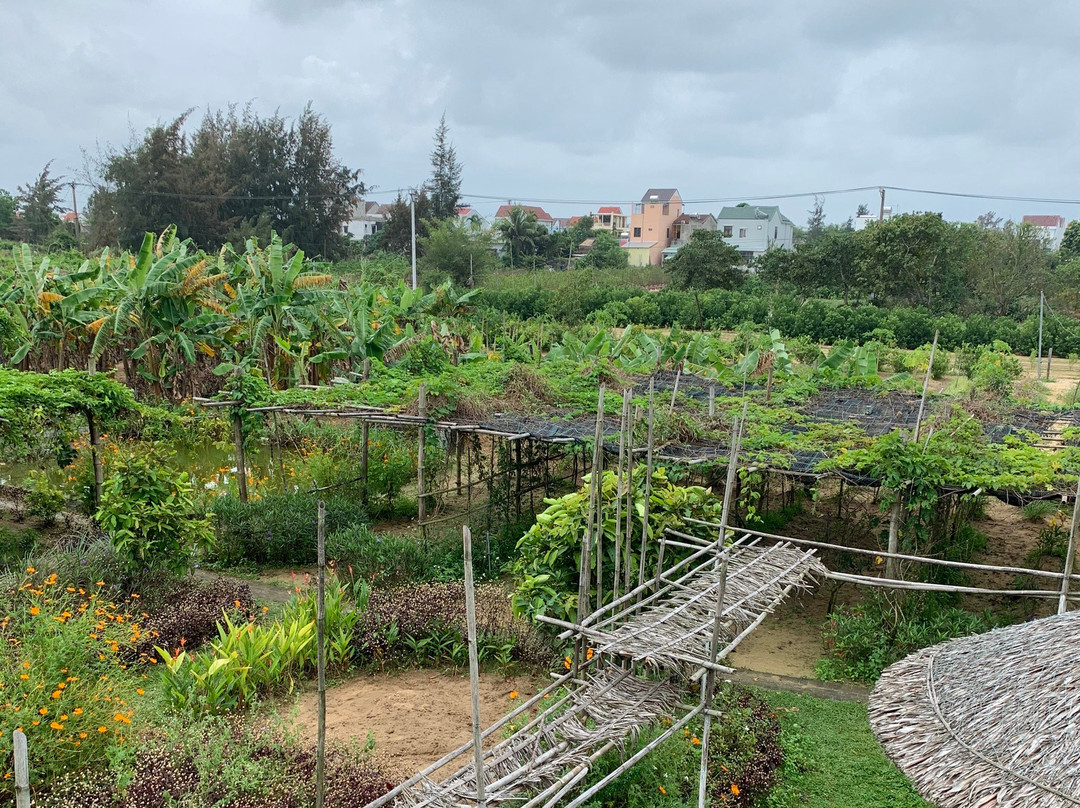 An Farm Hoi An-会安必去景点