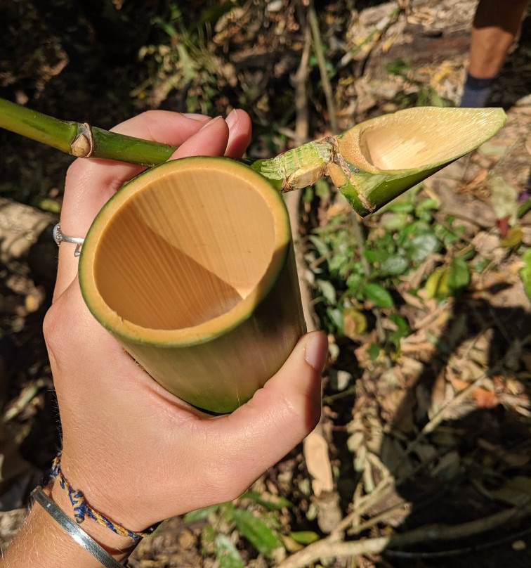 Nature Life Laos-琅南塔必去景点