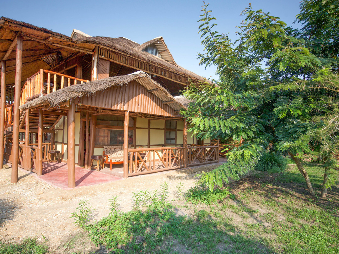 Ishasha Tree Climbing Lions View Lodge主图