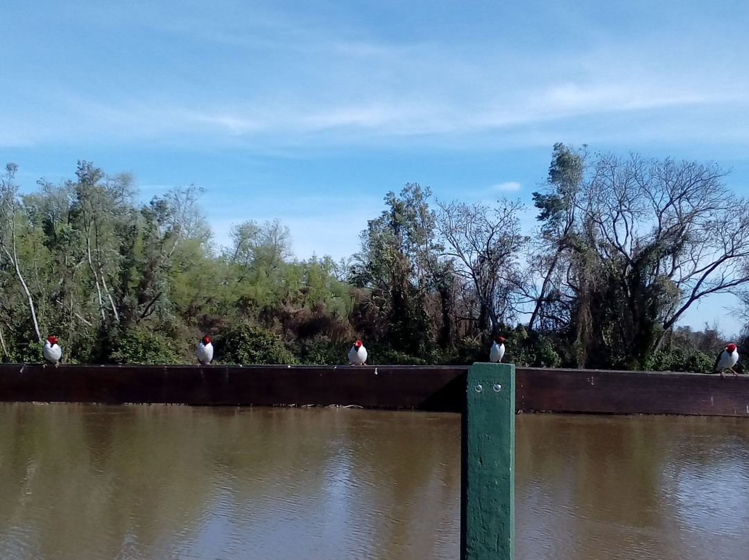 Parque Nacional Pre-Delta景点图片