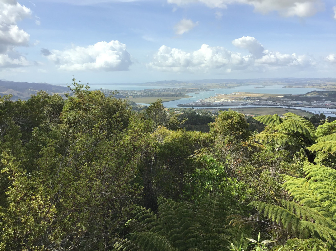 Mount Parihaka War Memorial景点图片