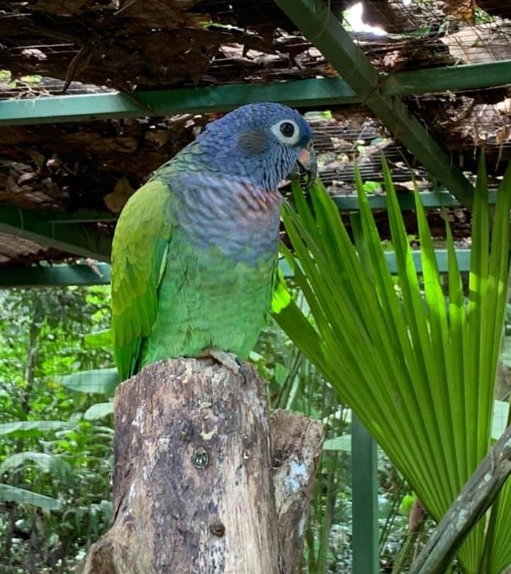 Tree of Life Wildlife Rescue Center and Botanical Gardens景点图片