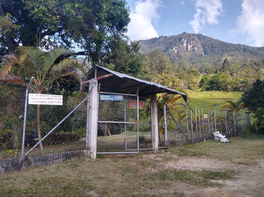 Ecoparque Peñas Blancas景点图片