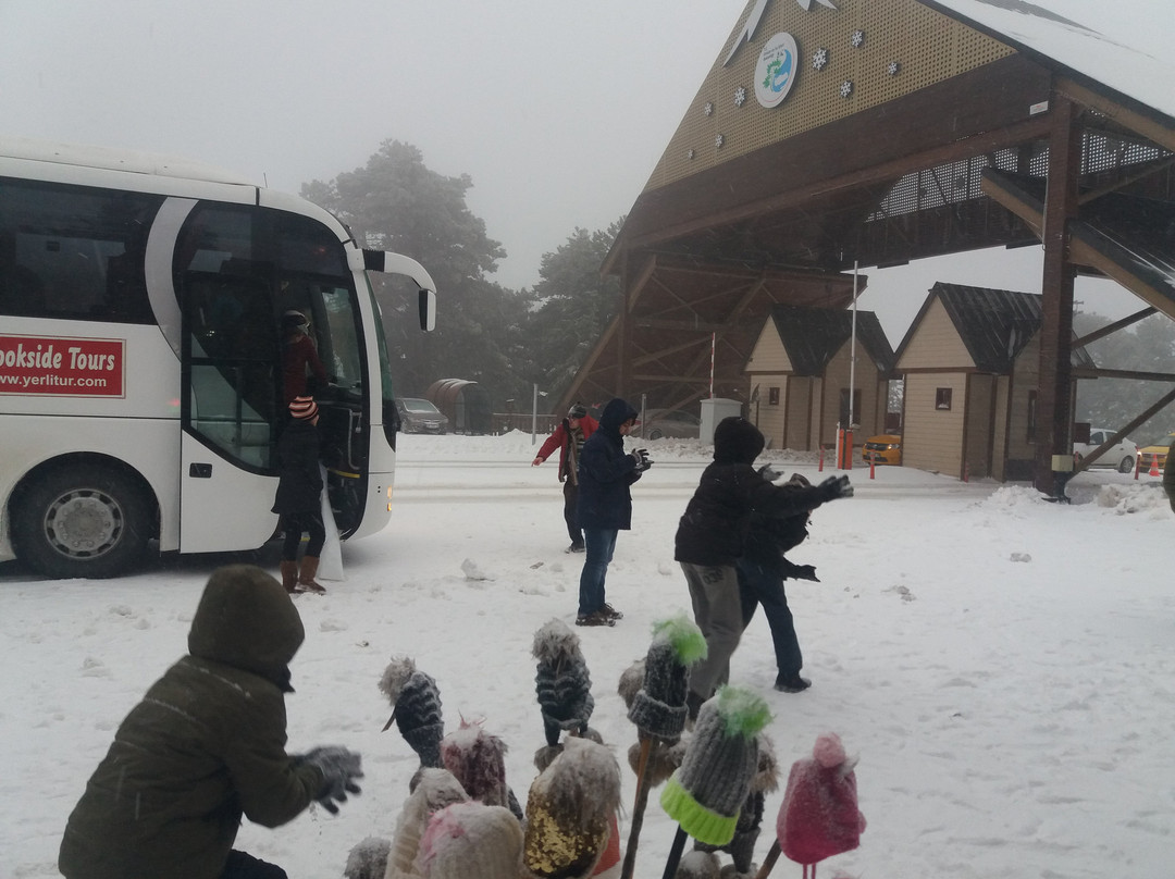 Brookside Tours-库萨达斯必去景点