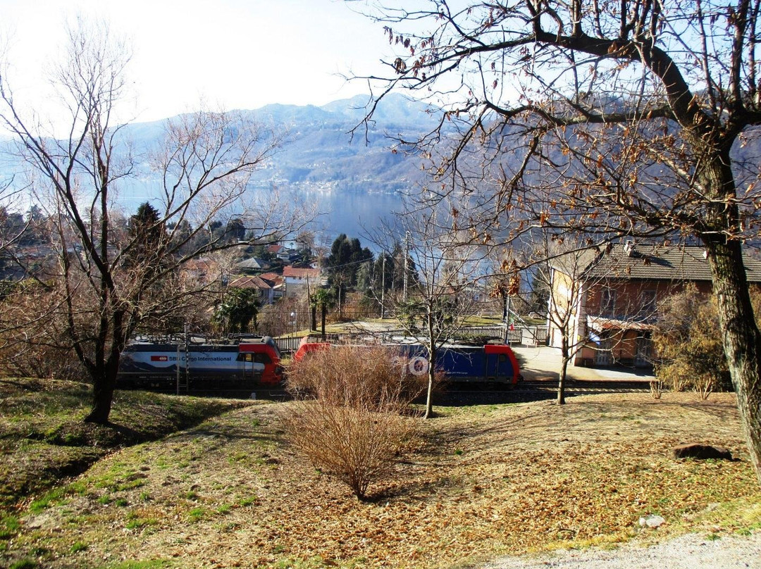 Museo dell'Arte della Tornitura del Legno景点图片