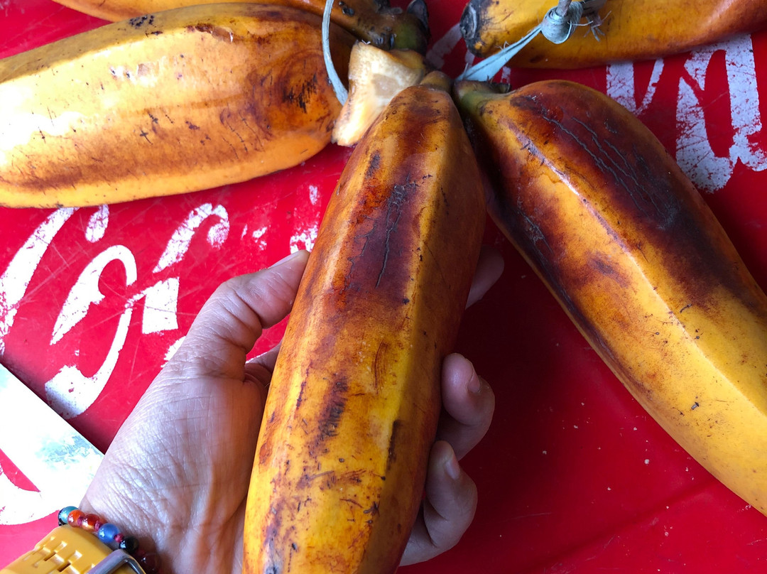 Mount Galunggung-Linggawangi必去景点