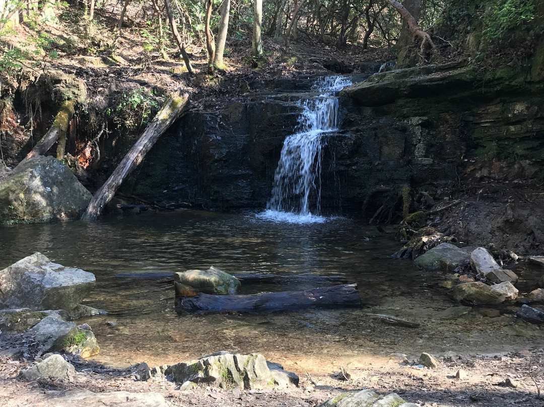 Pine Mountain Trail-Pine Mountain必去景点