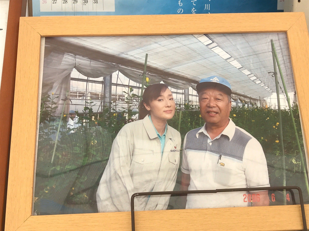Strawberry Farm-寒河江市必去景点