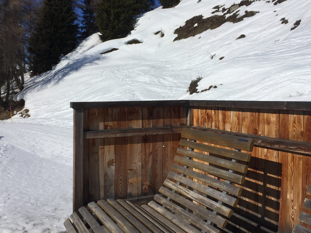 Bergbahnen Motta Naluns景点图片