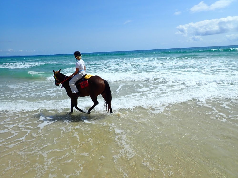 Rainbow Beach Horse Rides景点图片