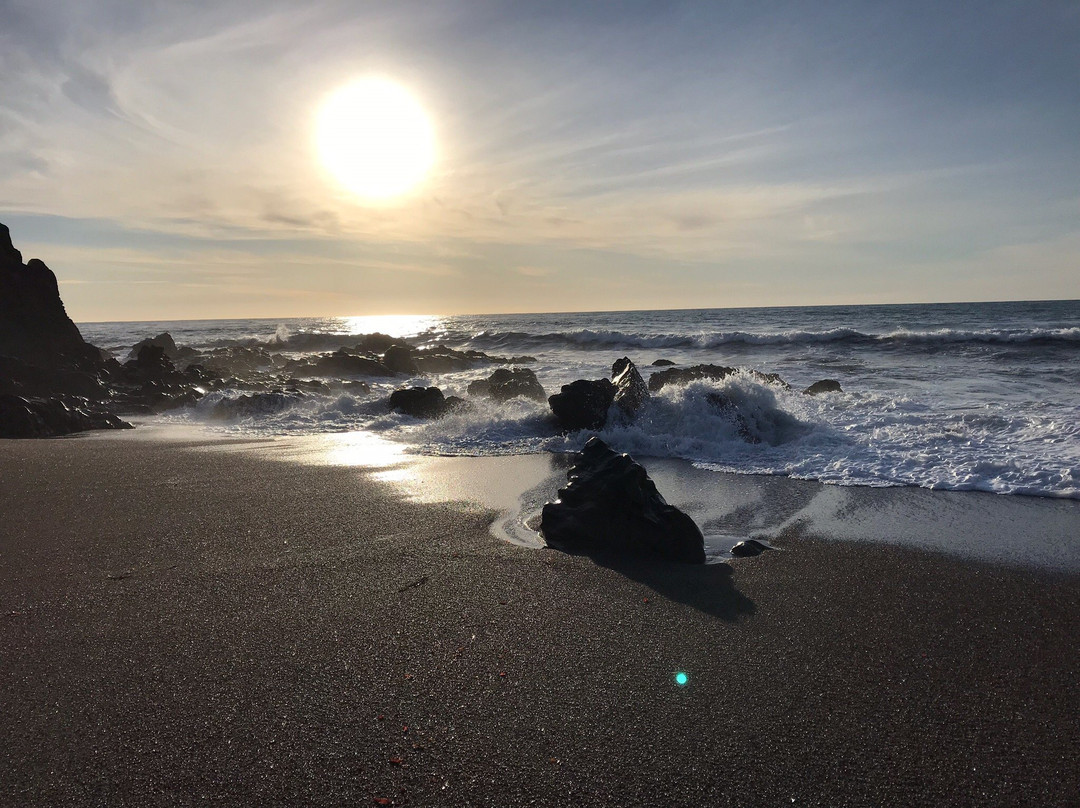 Shamel Park-坎布里亚必去景点