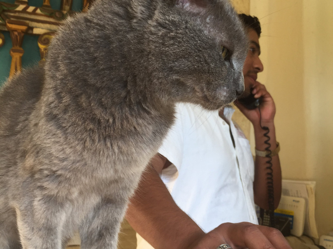 Mision de los Arcos主图