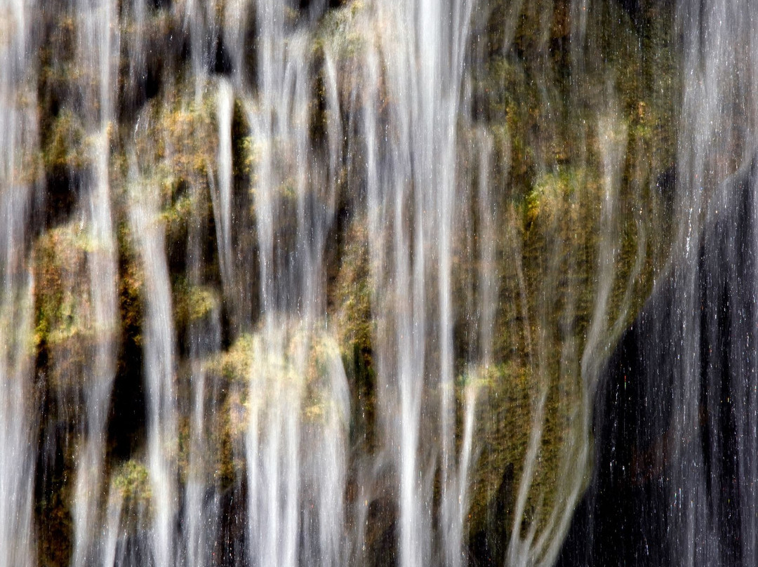 New Aurora Apts Studios主图