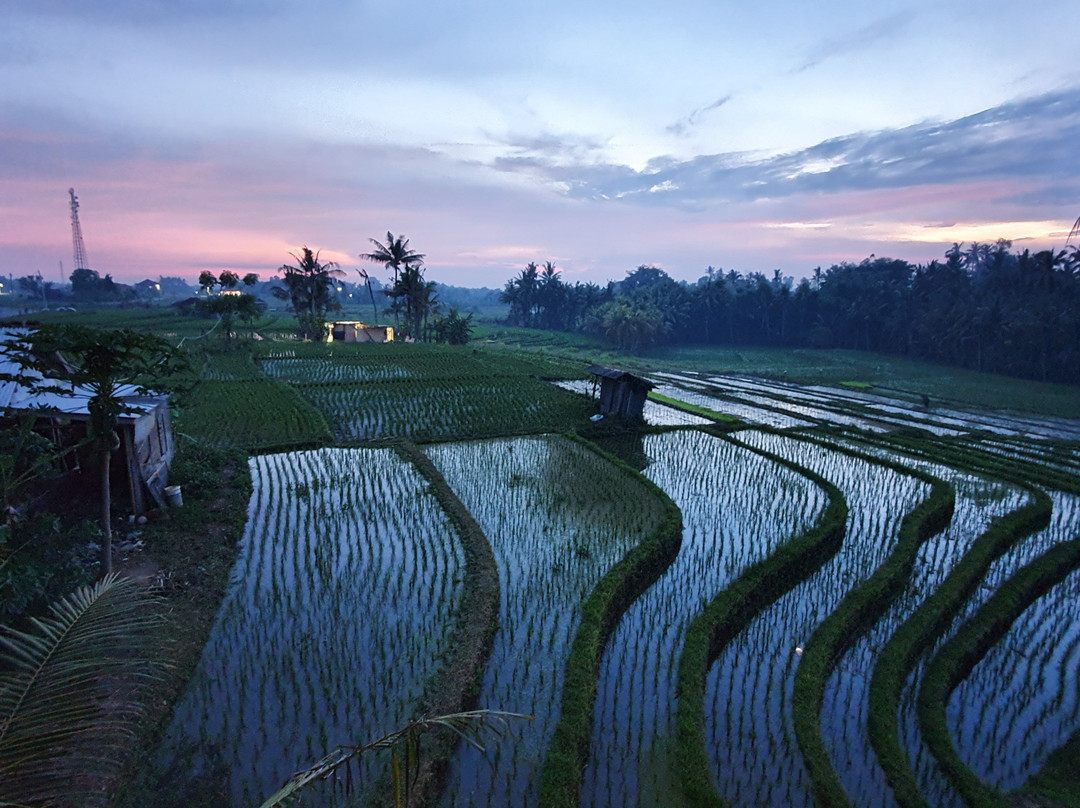 Coco Verde Bali Resort主图
