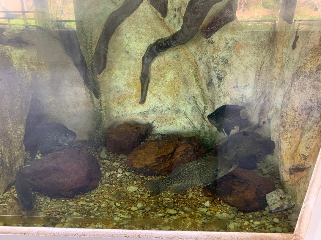 Texas Freshwater Fisheries Center-Athens必去景点