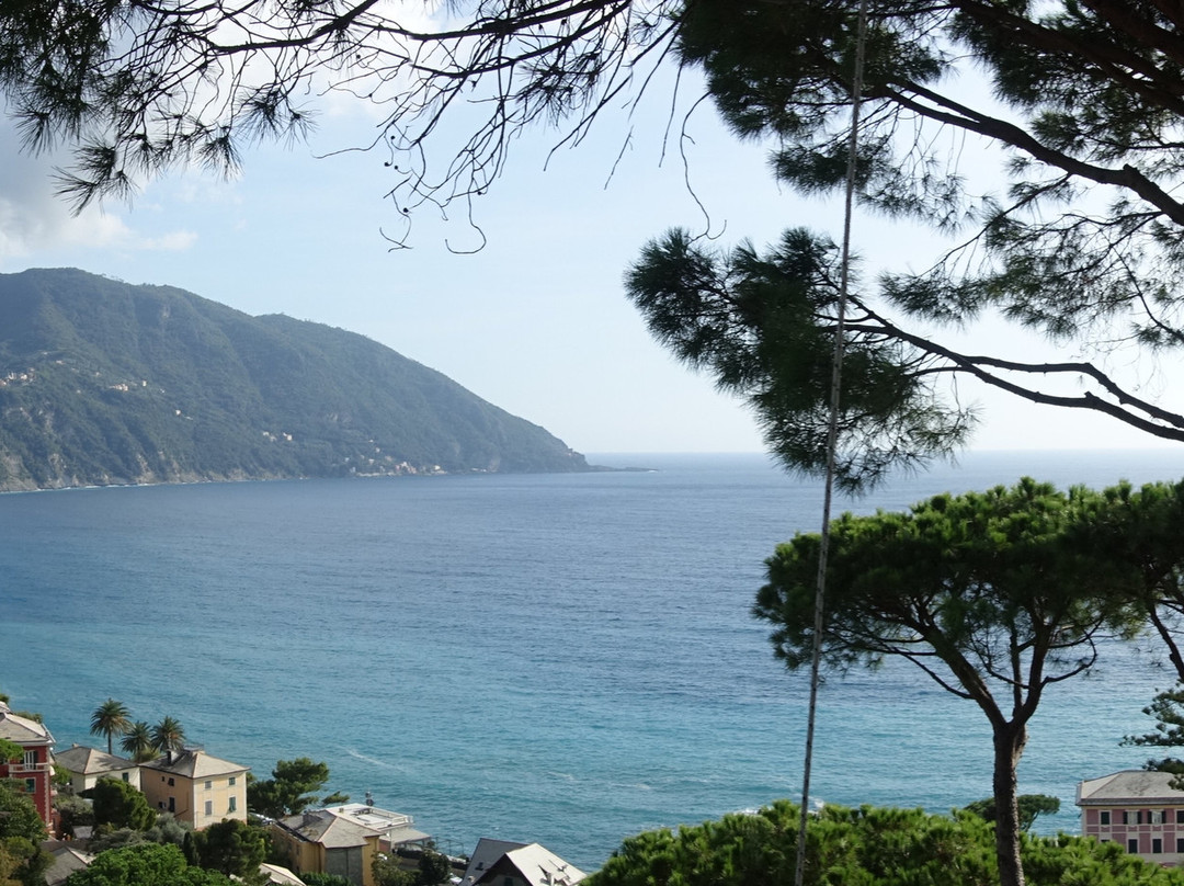 Recco-雷科必去景点