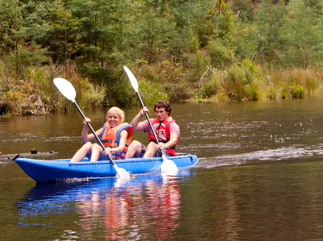 Baw Baw National Park-Walhalla必去景点