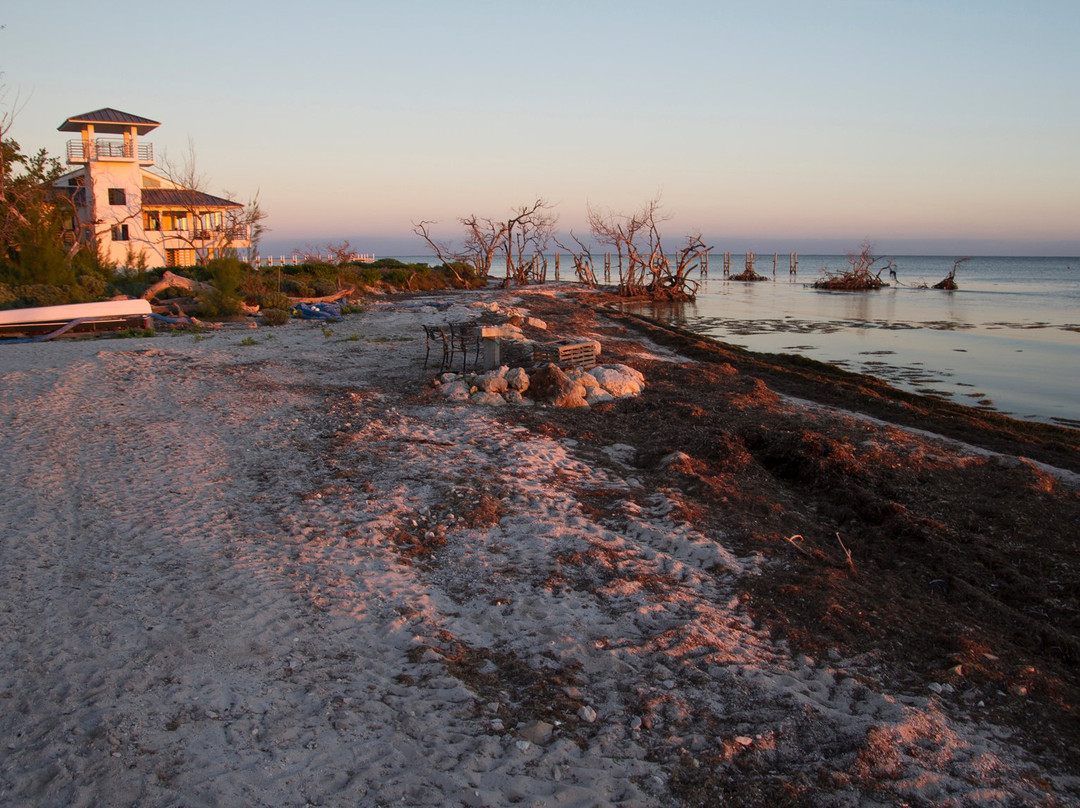 Barnacle Bed and Breakfast主图