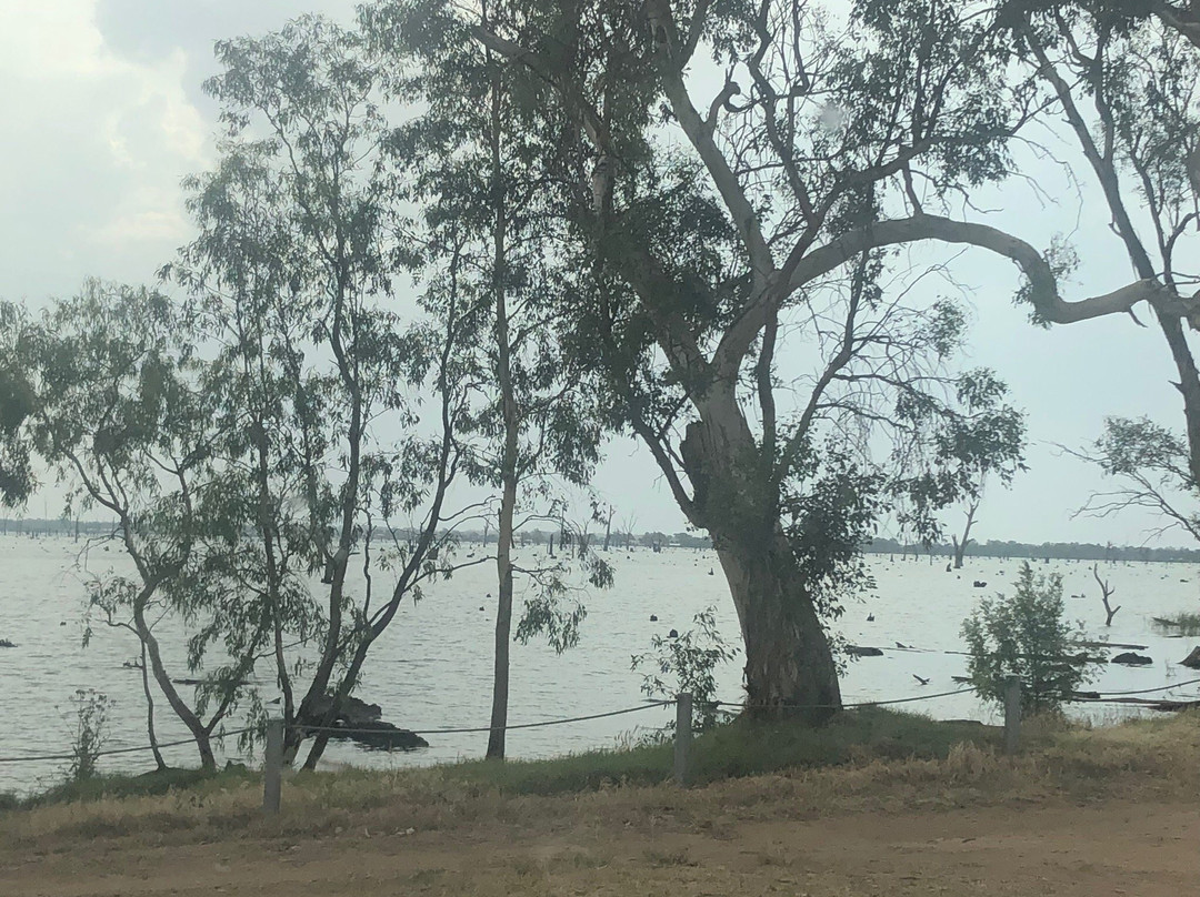 Kyffins Reserve-Mulwala必去景点