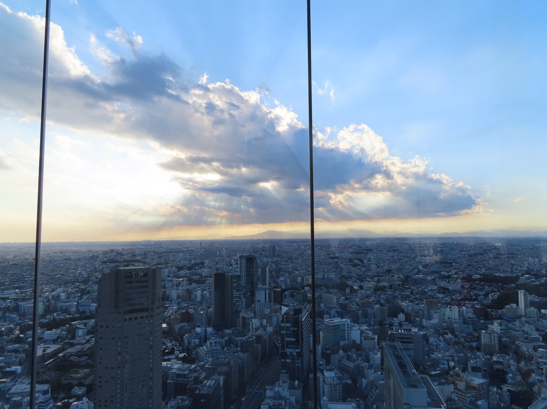 Shibuya Sky景点图片