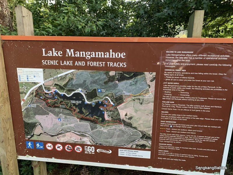 Lake Mangamahoe景点图片