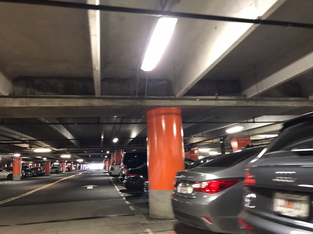 大西洋站-亚特兰大必去景点