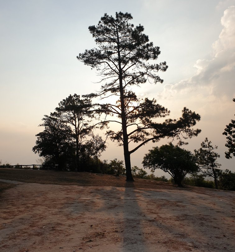 Phu Ruea National Park景点图片