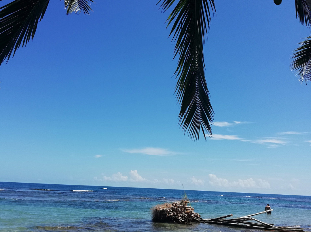 Playa Puerto Viejo景点图片
