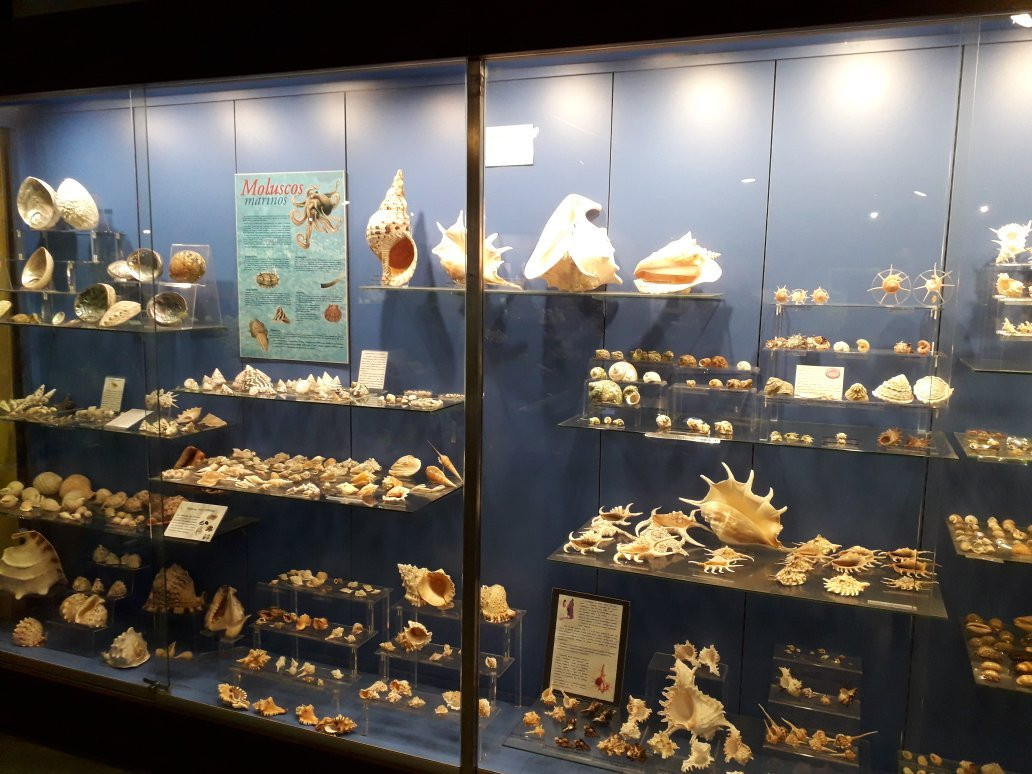Museo Maritimo de Asturias景点图片