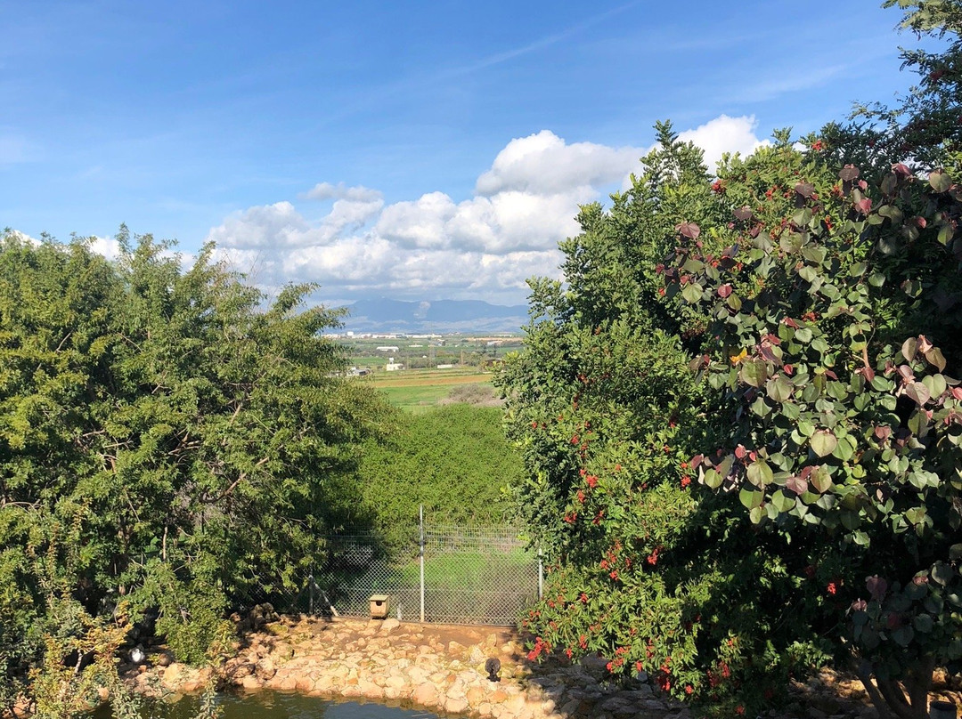 Melios Zoo-尼科西亚必去景点