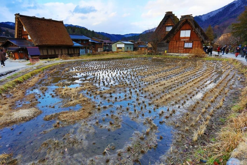 Shirakawago景点图片