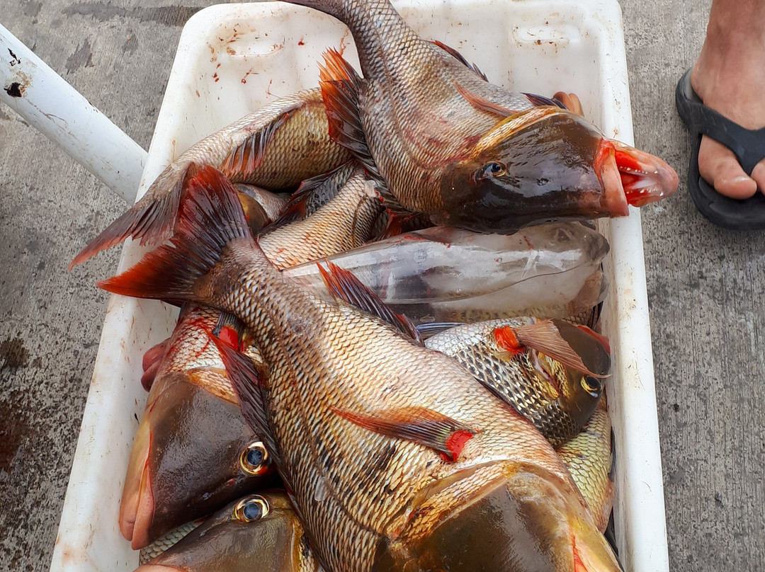 Advance Fishing-金斯敦必去景点