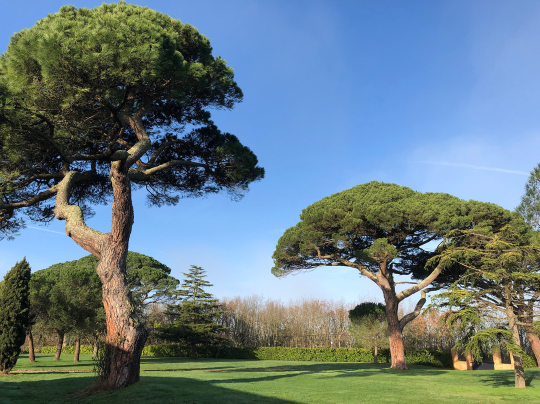 Chateau Escudes主图