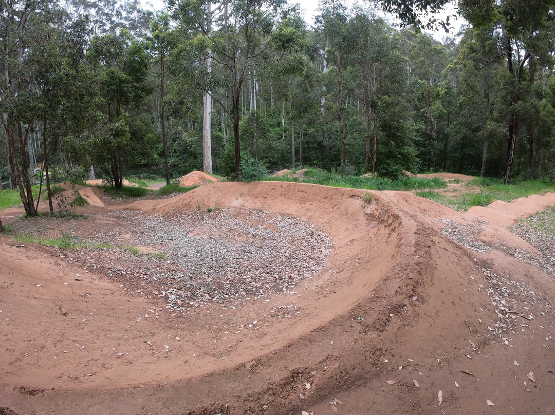 Pemberton Mountain Bike Park-彭伯顿必去景点