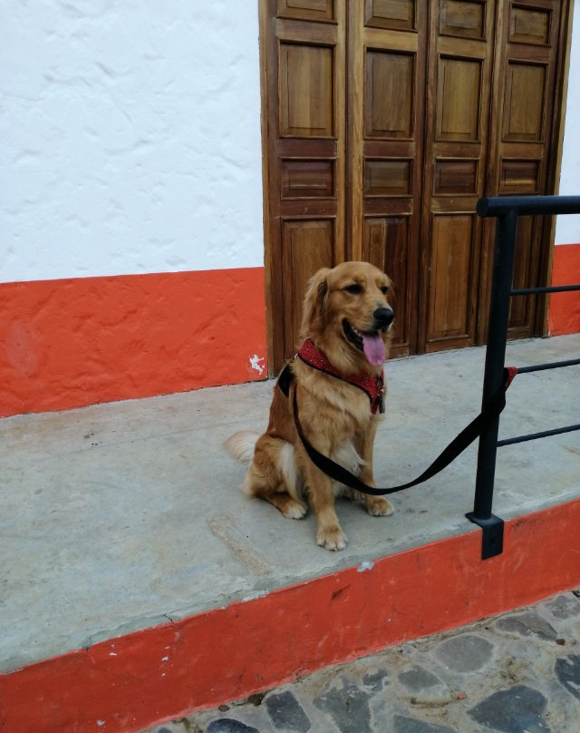 Coffee Tours - Finca La Manchuria-Salgar必去景点