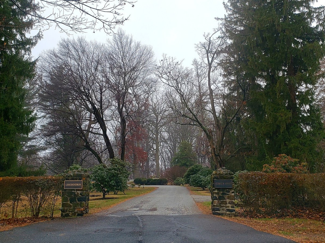 Liriodendron Mansion景点图片