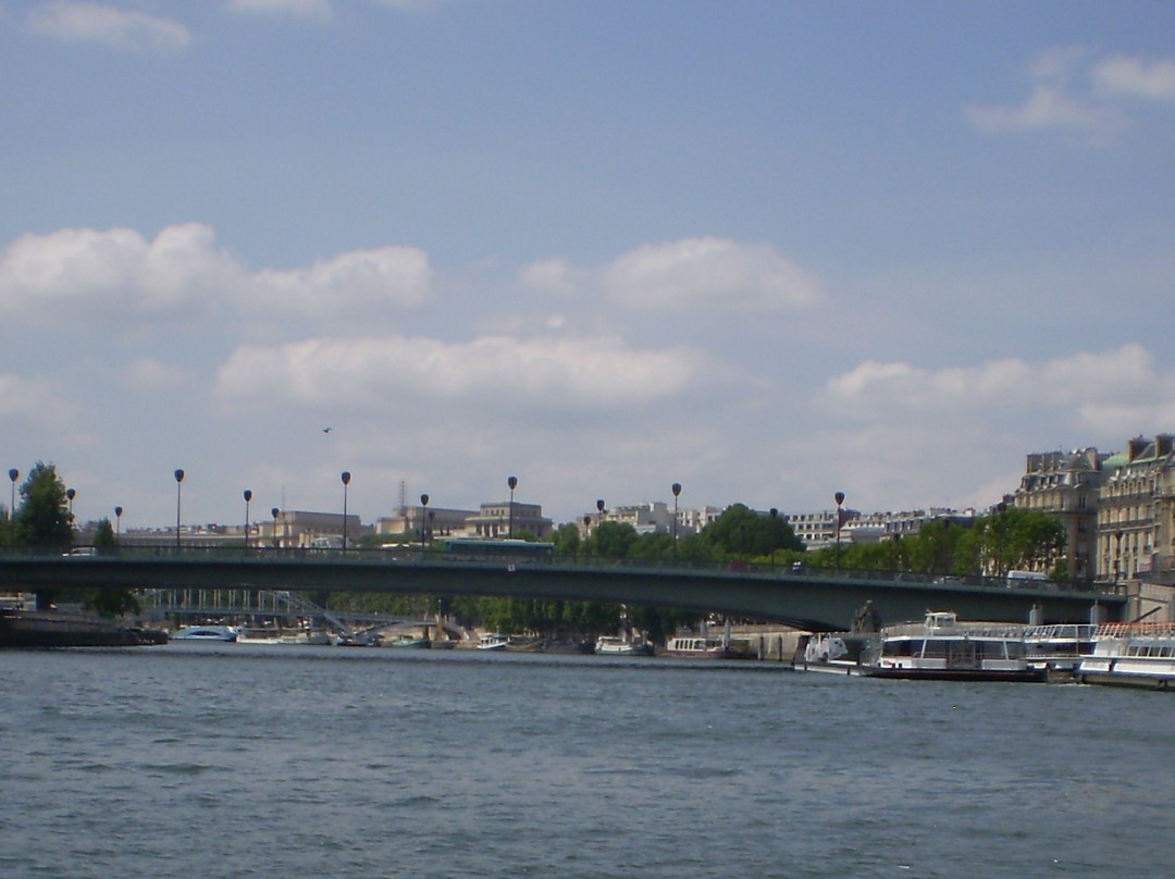 Pont de l'Alma景点图片
