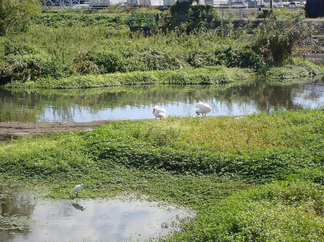 Kitakashiwa Furusato Park-柏市必去景点