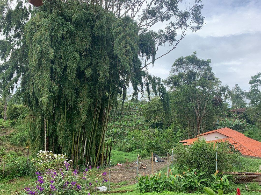 EL Despertar Hotel Campestre主图