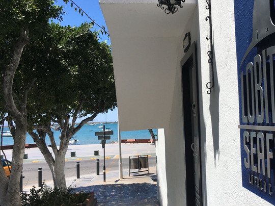 Lobitos Seafari-拉巴斯必去景点