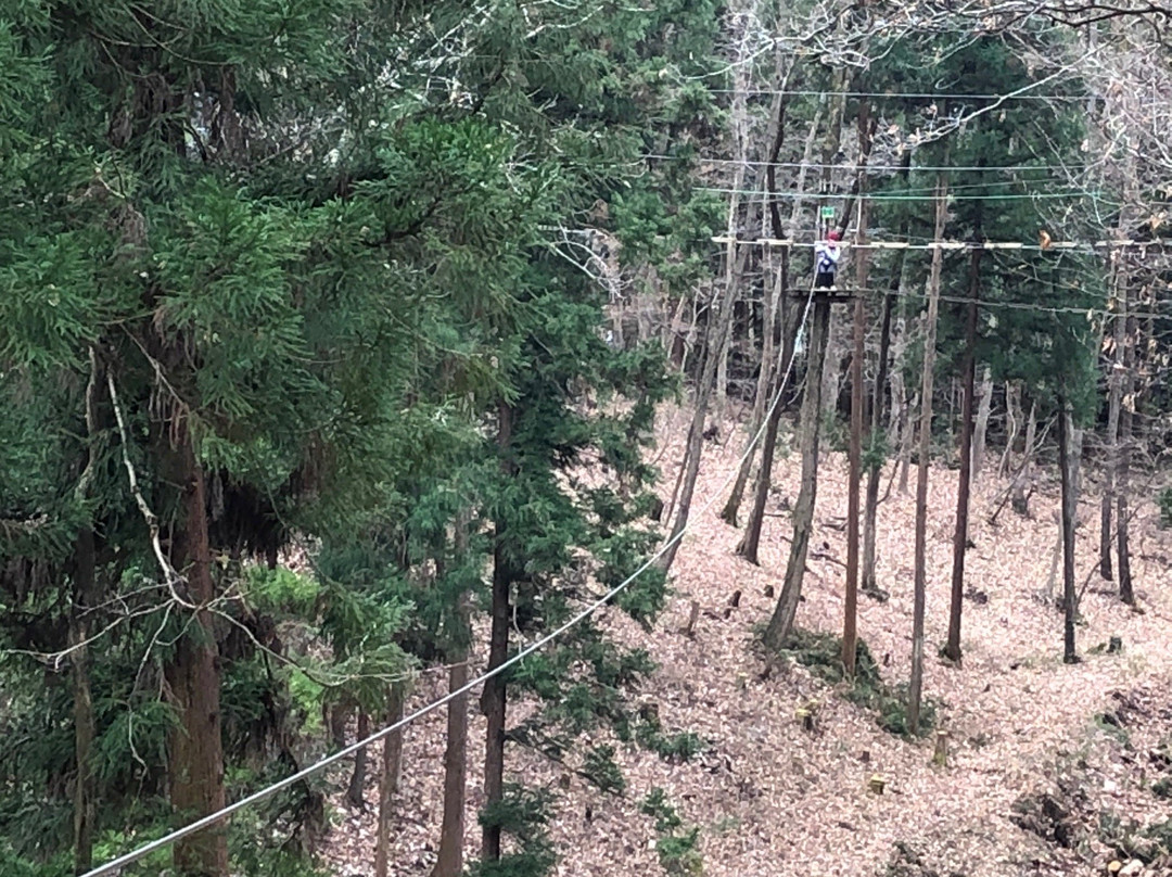 Forest Adventure Chichibu-秩父市必去景点