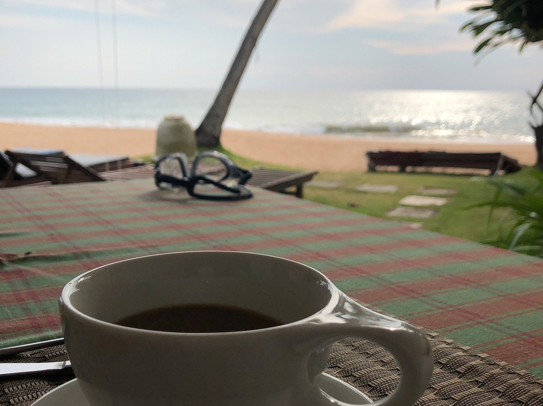 Ocean of Life Ayurvedic Resort主图