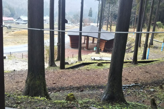 Tree Picnic Adventure Ikeda-池田町必去景点