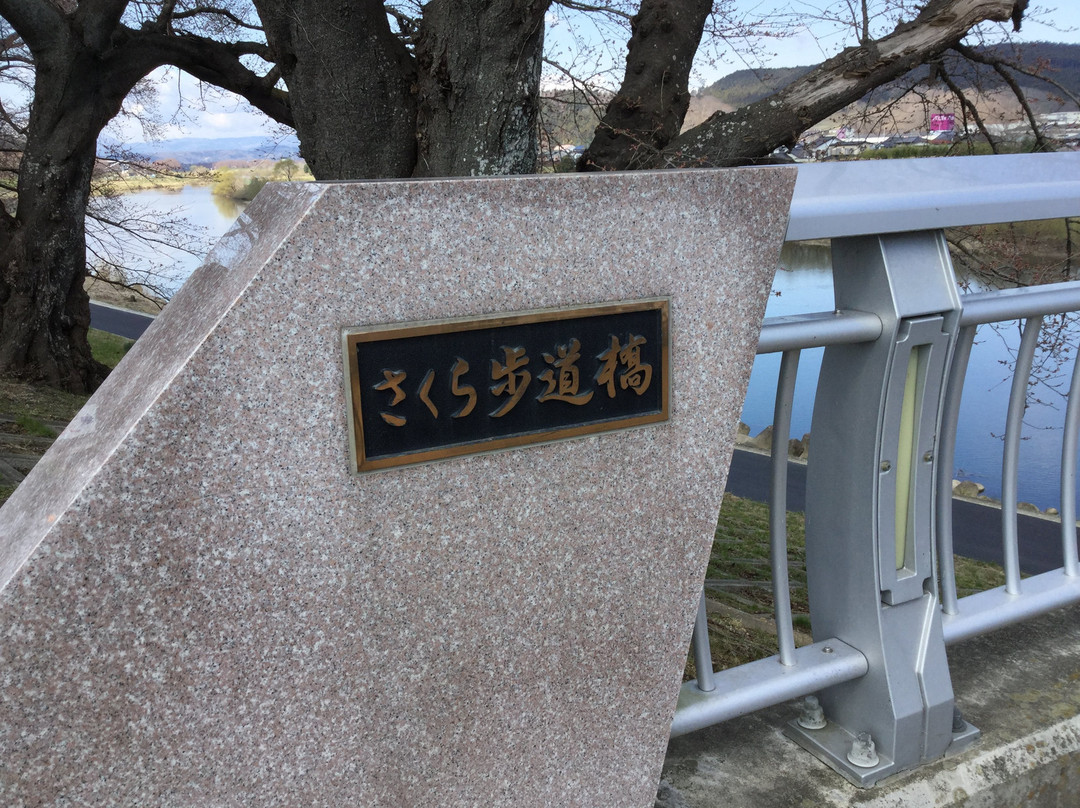 Sakurahodo Bridge景点图片