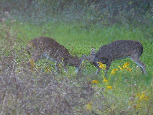 JR Alford Greenway Trail-塔拉哈西必去景点