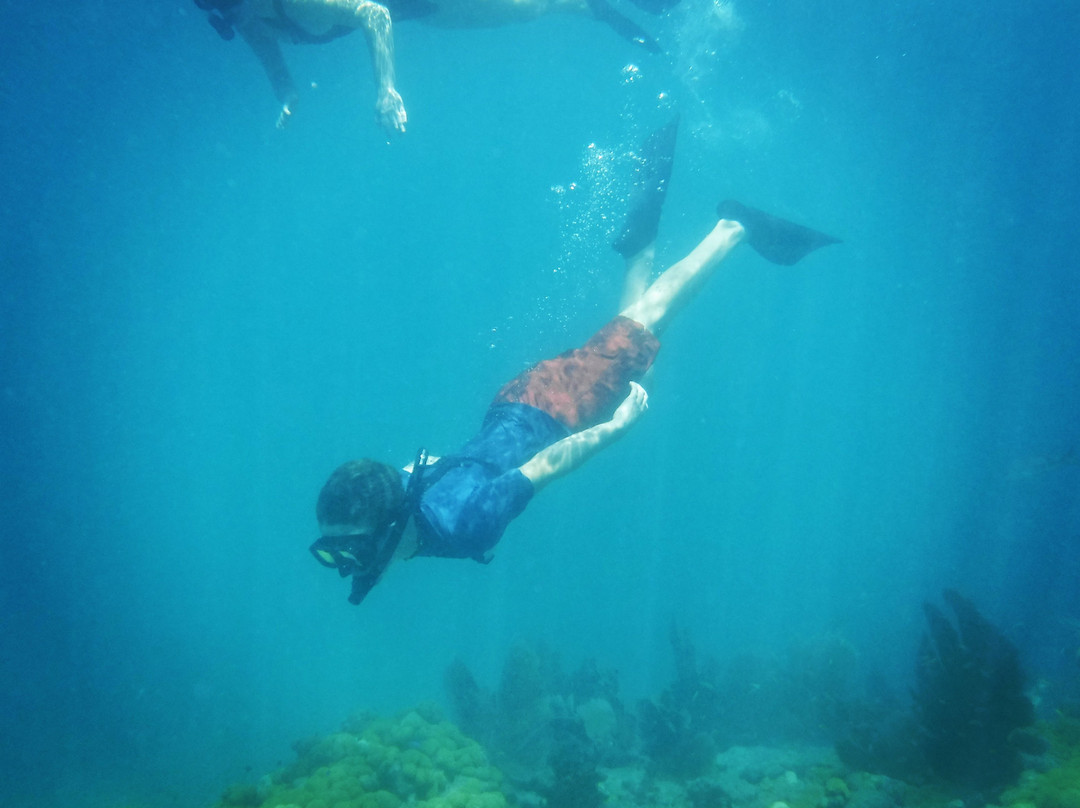Lower Keys Adventure Charters景点图片